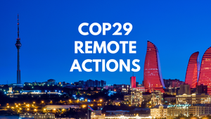 COP29 Remote actions post feature image